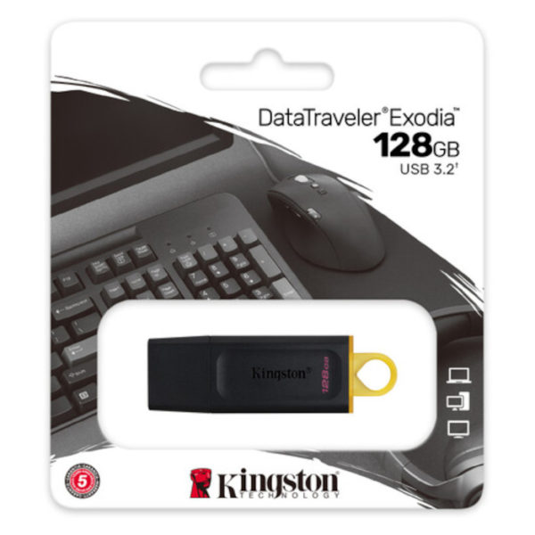 Kingston USB 3.2 Flash Drive DTX/128GB