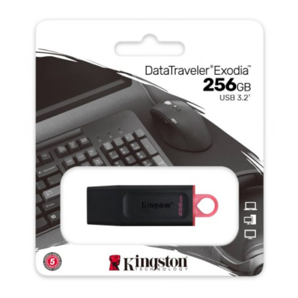 Kingston DataTraveler Exodia 256GB USB 3.2 Flash Drive DTX/256GB